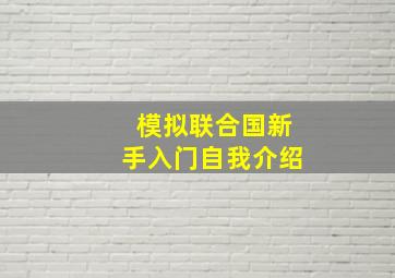 模拟联合国新手入门自我介绍