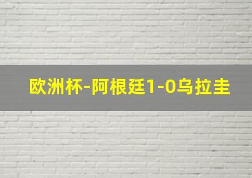 欧洲杯-阿根廷1-0乌拉圭