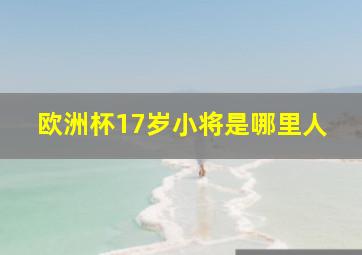 欧洲杯17岁小将是哪里人