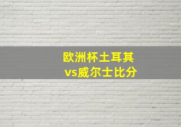 欧洲杯土耳其vs威尔士比分