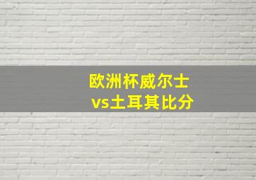 欧洲杯威尔士vs土耳其比分