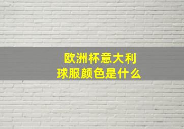 欧洲杯意大利球服颜色是什么