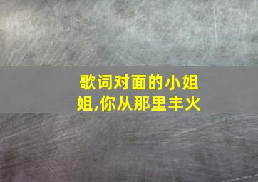 歌词对面的小姐姐,你从那里丰火