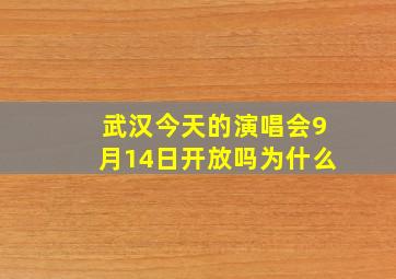 武汉今天的演唱会9月14日开放吗为什么