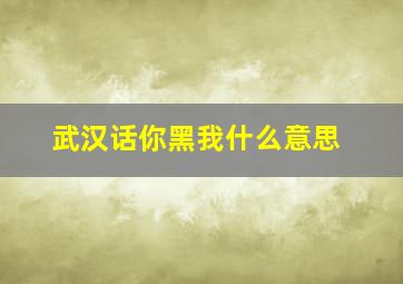 武汉话你黑我什么意思