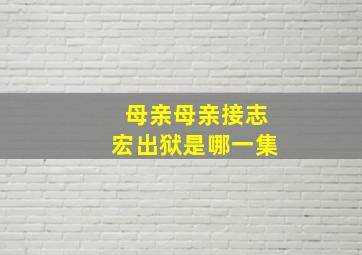 母亲母亲接志宏出狱是哪一集