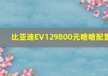 比亚迪EV129800元啥啥配置