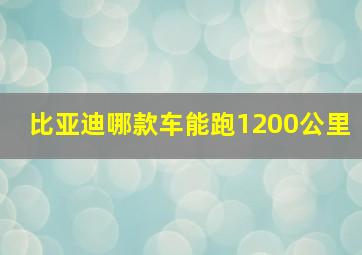 比亚迪哪款车能跑1200公里