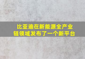 比亚迪在新能源全产业链领域发布了一个新平台