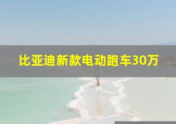 比亚迪新款电动跑车30万