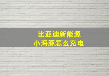 比亚迪新能源小海豚怎么充电