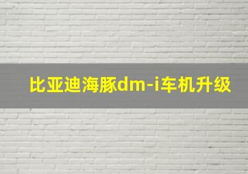 比亚迪海豚dm-i车机升级