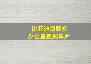 比亚迪海豚多少公里换刹车片