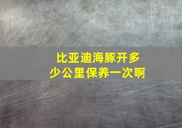 比亚迪海豚开多少公里保养一次啊