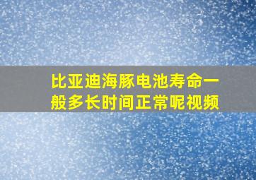 比亚迪海豚电池寿命一般多长时间正常呢视频