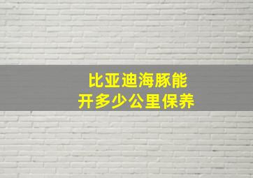 比亚迪海豚能开多少公里保养