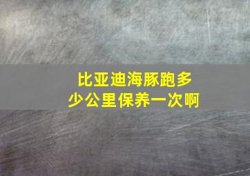 比亚迪海豚跑多少公里保养一次啊