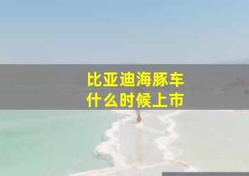 比亚迪海豚车什么时候上市