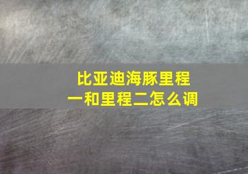 比亚迪海豚里程一和里程二怎么调