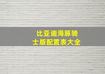 比亚迪海豚骑士版配置表大全