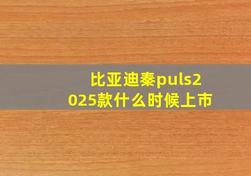 比亚迪秦puls2025款什么时候上市