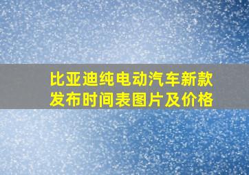 比亚迪纯电动汽车新款发布时间表图片及价格