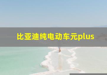 比亚迪纯电动车元plus