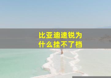 比亚迪速锐为什么挂不了档