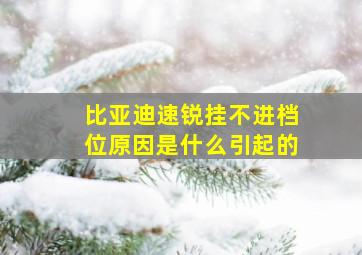 比亚迪速锐挂不进档位原因是什么引起的