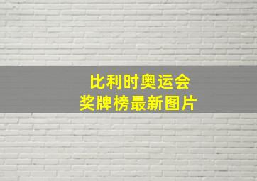 比利时奥运会奖牌榜最新图片