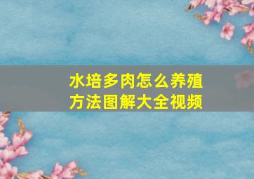 水培多肉怎么养殖方法图解大全视频