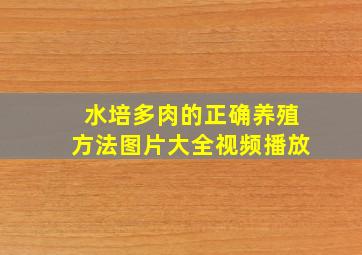 水培多肉的正确养殖方法图片大全视频播放