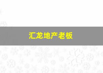 汇龙地产老板