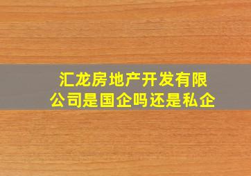 汇龙房地产开发有限公司是国企吗还是私企