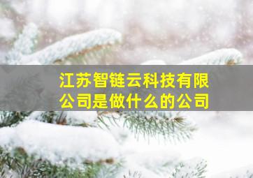 江苏智链云科技有限公司是做什么的公司