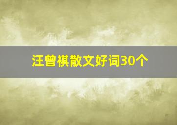 汪曾祺散文好词30个