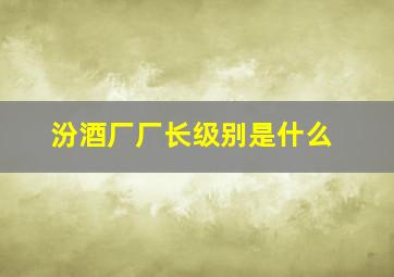 汾酒厂厂长级别是什么