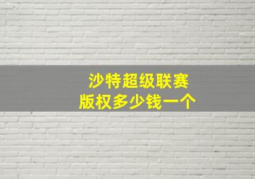 沙特超级联赛版权多少钱一个