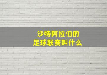 沙特阿拉伯的足球联赛叫什么