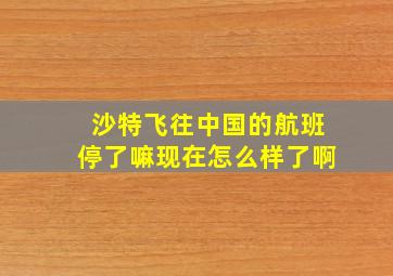 沙特飞往中国的航班停了嘛现在怎么样了啊