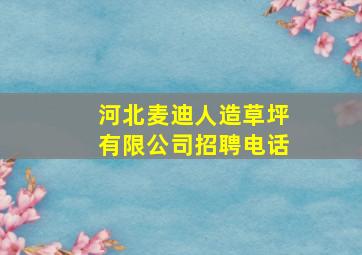 河北麦迪人造草坪有限公司招聘电话