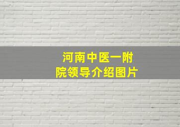 河南中医一附院领导介绍图片