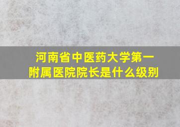 河南省中医药大学第一附属医院院长是什么级别