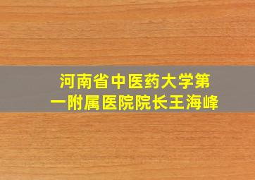 河南省中医药大学第一附属医院院长王海峰