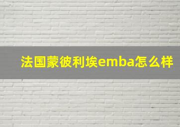 法国蒙彼利埃emba怎么样