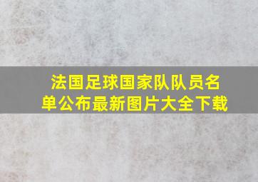 法国足球国家队队员名单公布最新图片大全下载