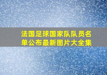 法国足球国家队队员名单公布最新图片大全集