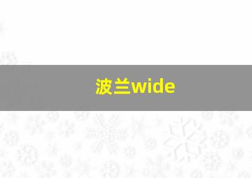 波兰wide