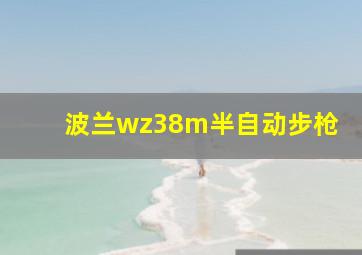 波兰wz38m半自动步枪