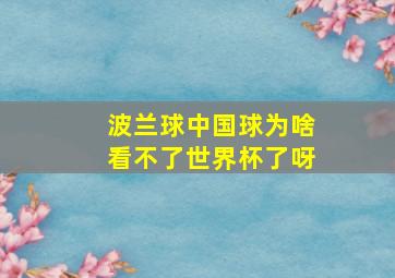 波兰球中国球为啥看不了世界杯了呀